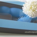 スカイビーンズ外箱アップ