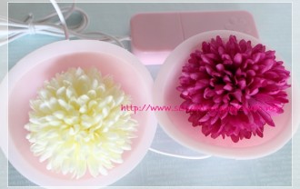 ピンクラブカップ上から